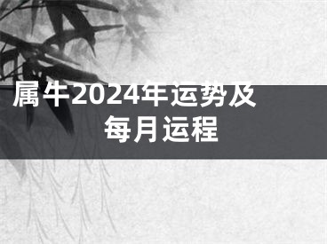 属牛2024年运势及每月运程