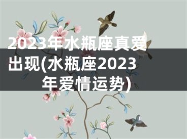 2023年水瓶座真爱出现(水瓶座2023年爱情运势)
