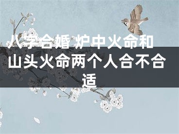 八字合婚 炉中火命和山头火命两个人合不合适