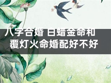 八字合婚 白蜡金命和覆灯火命婚配好不好
