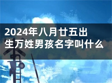 2024年八月廿五出生万姓男孩名字叫什么