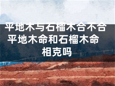 平地木与石榴木合不合 平地木命和石榴木命相克吗