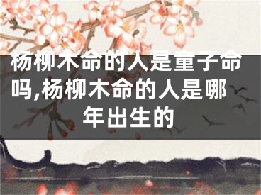 杨柳木命的人是童子命吗,杨柳木命的人是哪年出生的