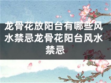 龙骨花放阳台有哪些风水禁忌龙骨花阳台风水禁忌