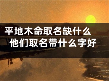 平地木命取名缺什么 他们取名带什么字好