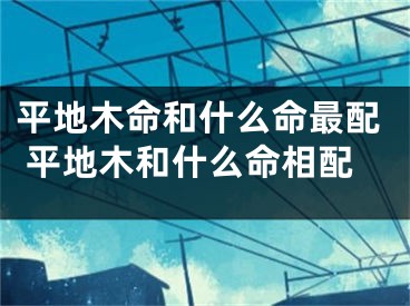 平地木命和什么命最配 平地木和什么命相配