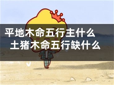 平地木命五行主什么 土猪木命五行缺什么