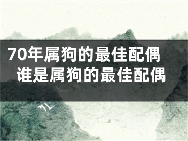 70年属狗的最佳配偶谁是属狗的最佳配偶