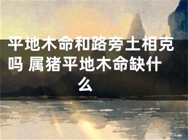 平地木命和路旁土相克吗 属猪平地木命缺什么 