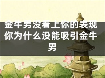 金牛男没看上你的表现你为什么没能吸引金牛男