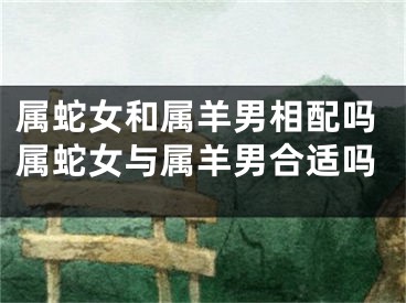 属蛇女和属羊男相配吗属蛇女与属羊男合适吗