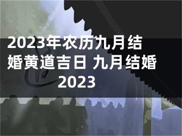 2023年农历九月结婚黄道吉日 九月结婚2023