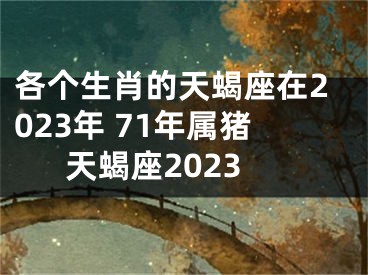 各个生肖的天蝎座在2023年 71年属猪天蝎座2023