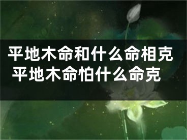 平地木命和什么命相克 平地木命怕什么命克