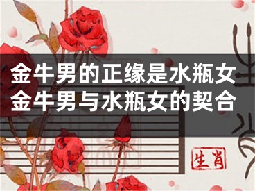 金牛男的正缘是水瓶女金牛男与水瓶女的契合