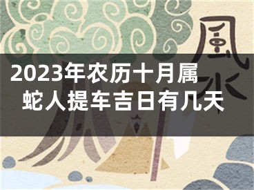 2023年农历十月属蛇人提车吉日有几天