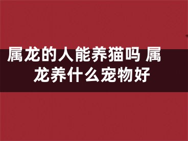 属龙的人能养猫吗 属龙养什么宠物好