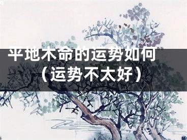 平地木命的运势如何 （运势不太好）