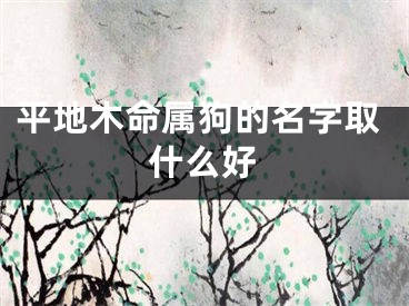 平地木命属狗的名字取什么好