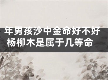 年男孩沙中金命好不好 杨柳木是属于几等命