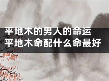 平地木的男人的命运 平地木命配什么命最好