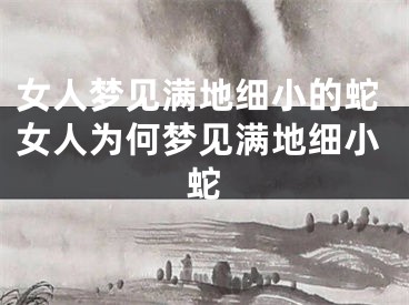 女人梦见满地细小的蛇女人为何梦见满地细小蛇