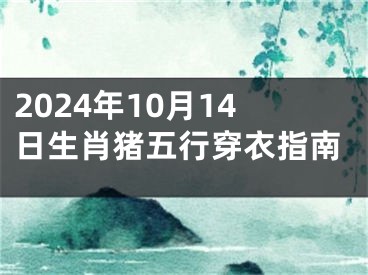2024年10月14日生肖猪五行穿衣指南