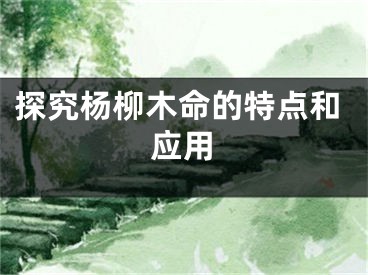 探究杨柳木命的特点和应用