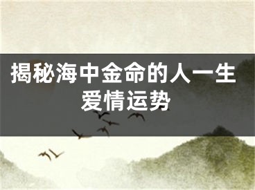 揭秘海中金命的人一生爱情运势