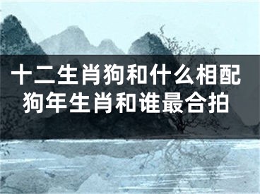 十二生肖狗和什么相配狗年生肖和谁最合拍