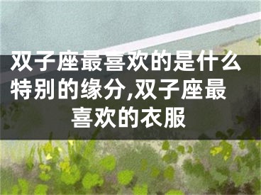 双子座最喜欢的是什么特别的缘分,双子座最喜欢的衣服