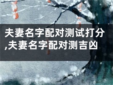 夫妻名字配对测试打分,夫妻名字配对测吉凶