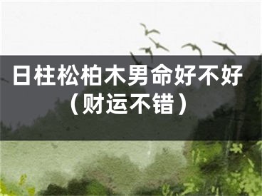 日柱松柏木男命好不好（财运不错）