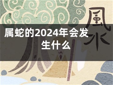 属蛇的2024年会发生什么