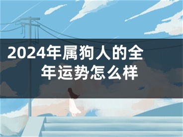 2024年属狗人的全年运势怎么样