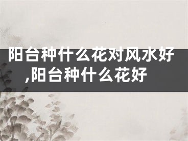 阳台种什么花对风水好,阳台种什么花好