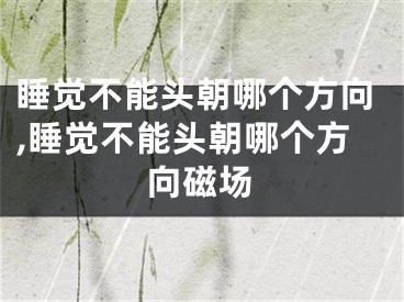 睡觉不能头朝哪个方向,睡觉不能头朝哪个方向磁场