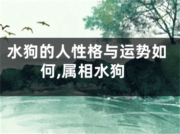 水狗的人性格与运势如何,属相水狗