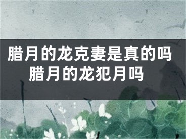 腊月的龙克妻是真的吗 腊月的龙犯月吗
