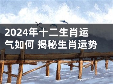 2024年十二生肖运气如何 揭秘生肖运势