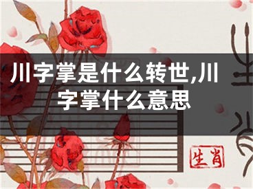 川字掌是什么转世,川字掌什么意思