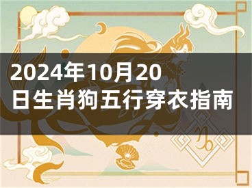 2024年10月20日生肖狗五行穿衣指南