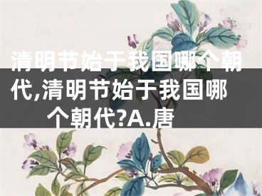 清明节始于我国哪个朝代,清明节始于我国哪个朝代?A.唐