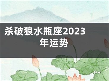 杀破狼水瓶座2023年运势