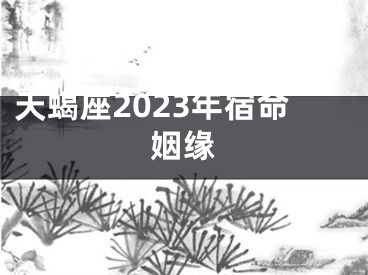 天蝎座2023年宿命姻缘