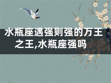 水瓶座遇强则强的万王之王,水瓶座强吗