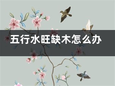 五行水旺缺木怎么办