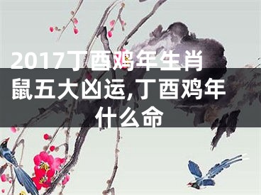 2017丁酉鸡年生肖鼠五大凶运,丁酉鸡年什么命