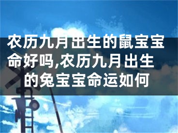 农历九月出生的鼠宝宝命好吗,农历九月出生的兔宝宝命运如何