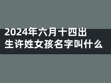 2024年六月十四出生许姓女孩名字叫什么